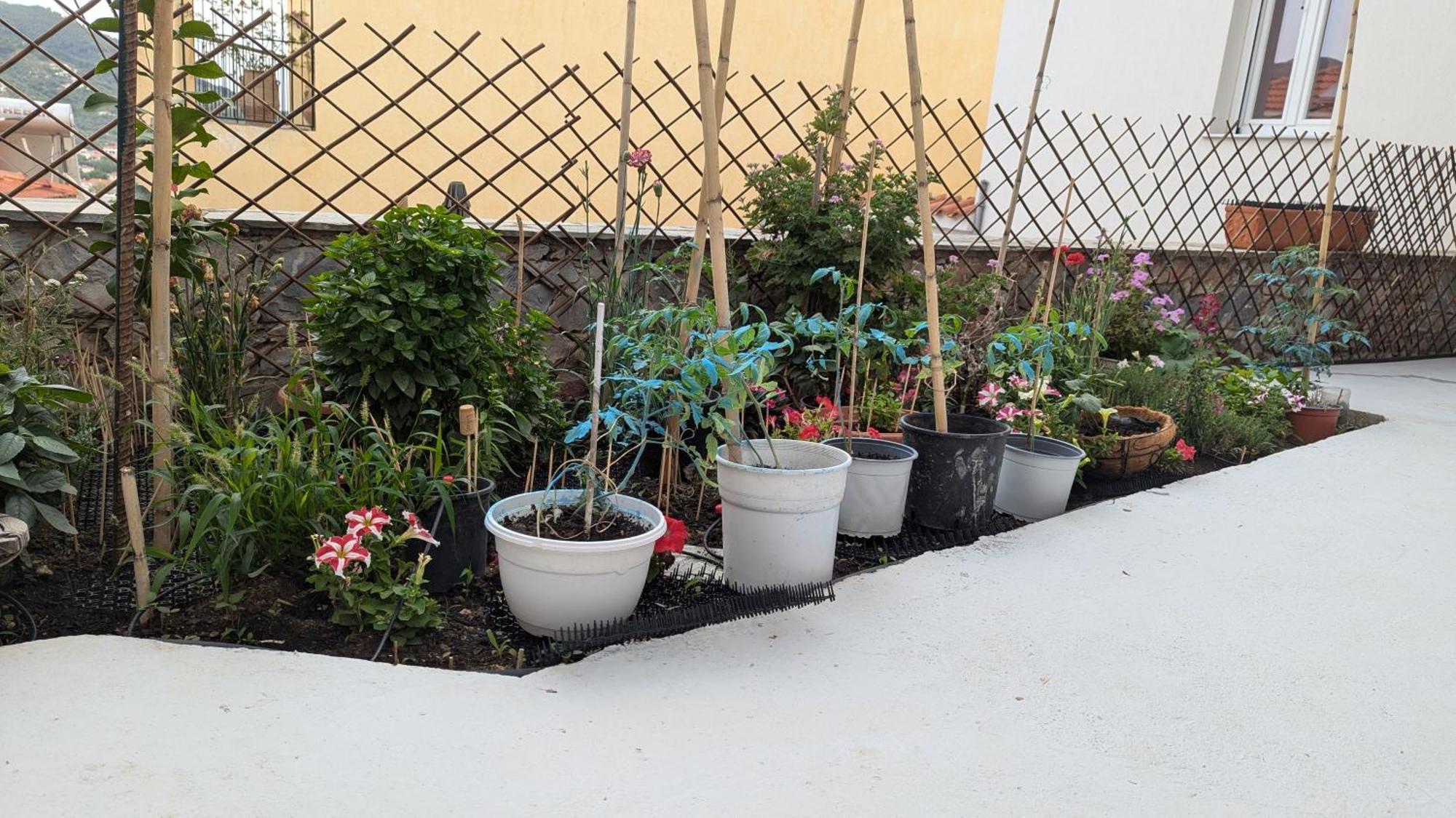 The Botanist Guesthouse Скопелос Экстерьер фото