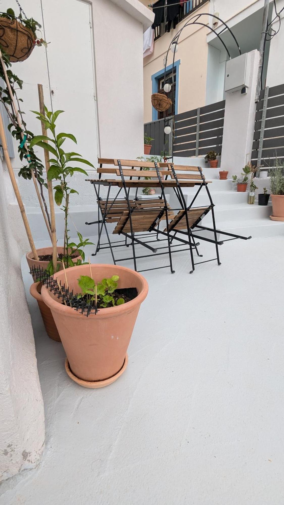 The Botanist Guesthouse Скопелос Экстерьер фото